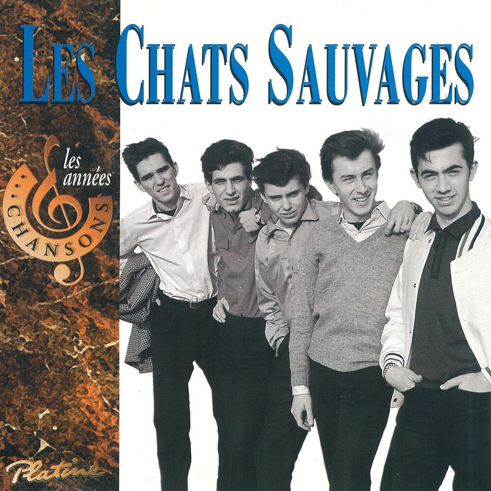 Picture of Les années chansons