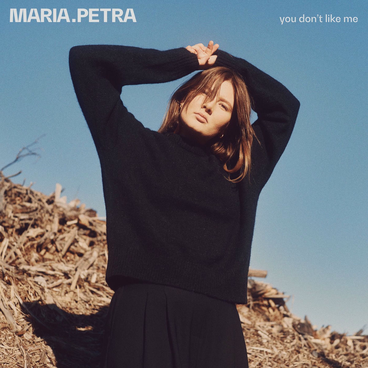Album cover of you don't like me