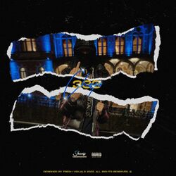Cover of 333