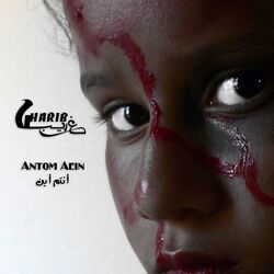 Cover of Antom Aein
