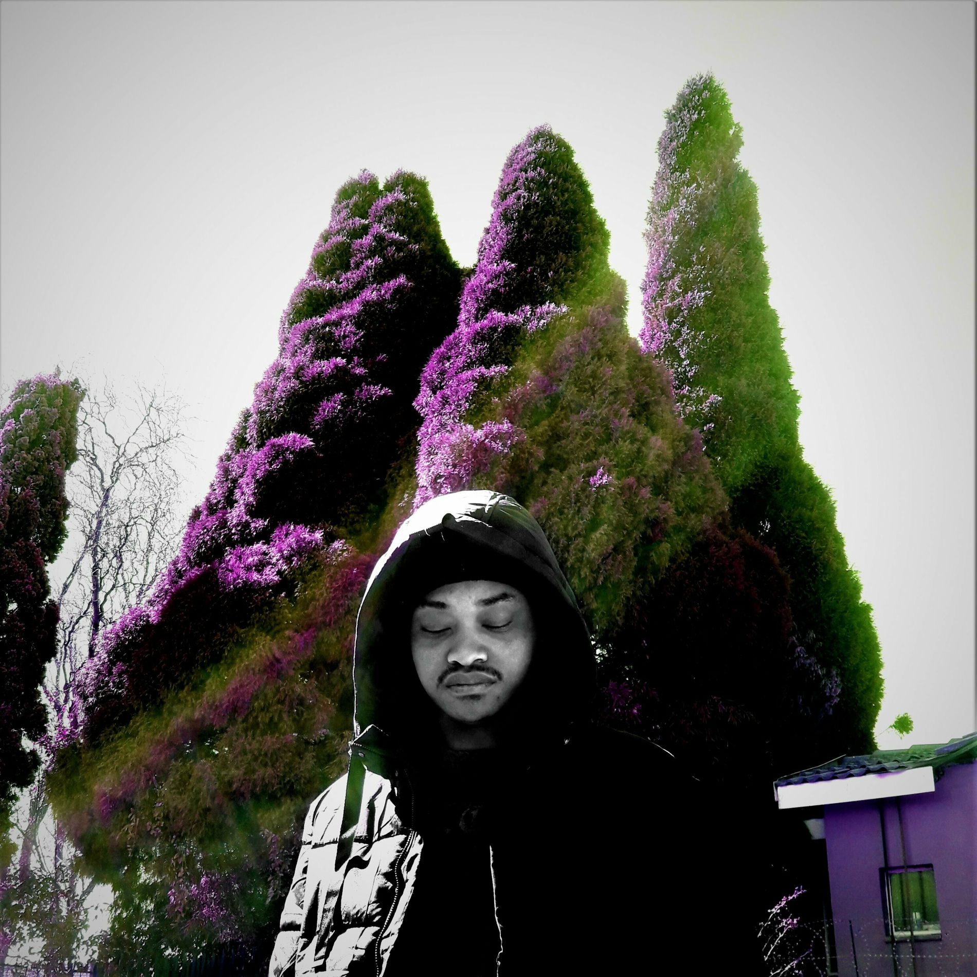 Album cover of Been On