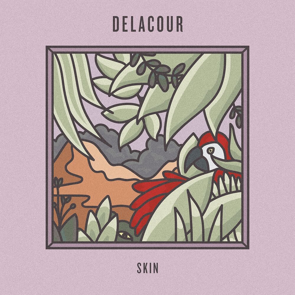 Picture of Skin