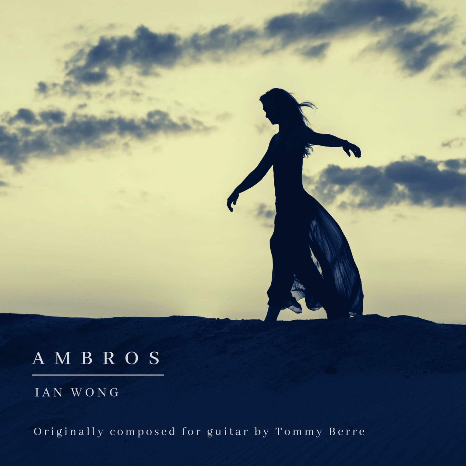 Album cover of Ambros