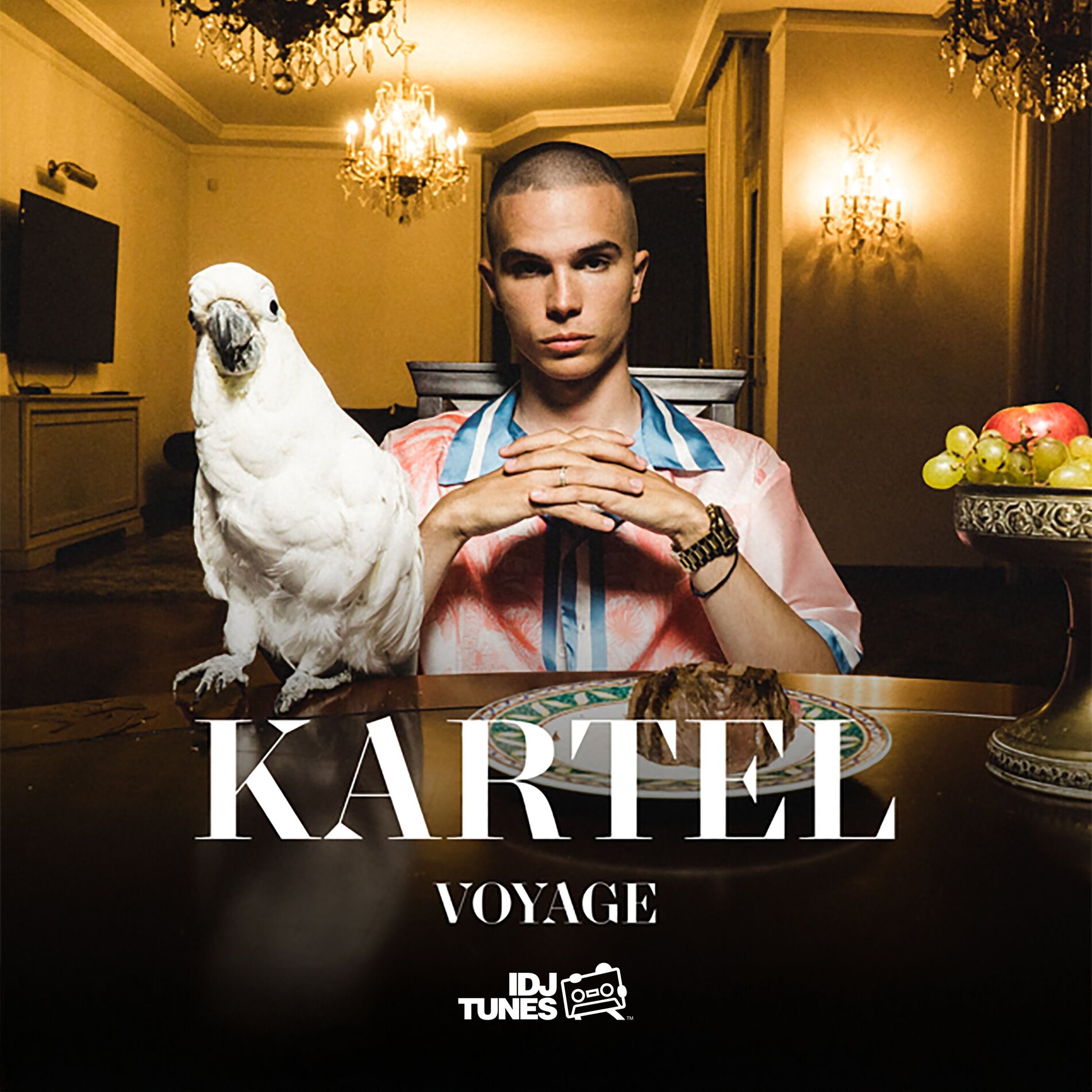 Album cover of Kartel