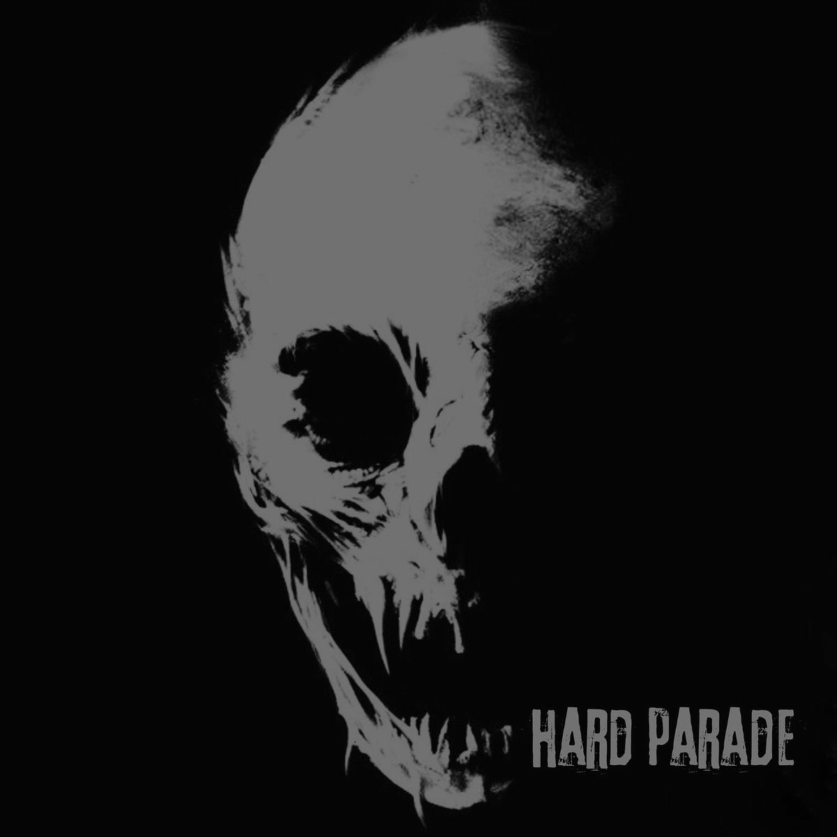 Album cover of Hard Parade