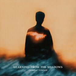 Cover of learning from the shadows
