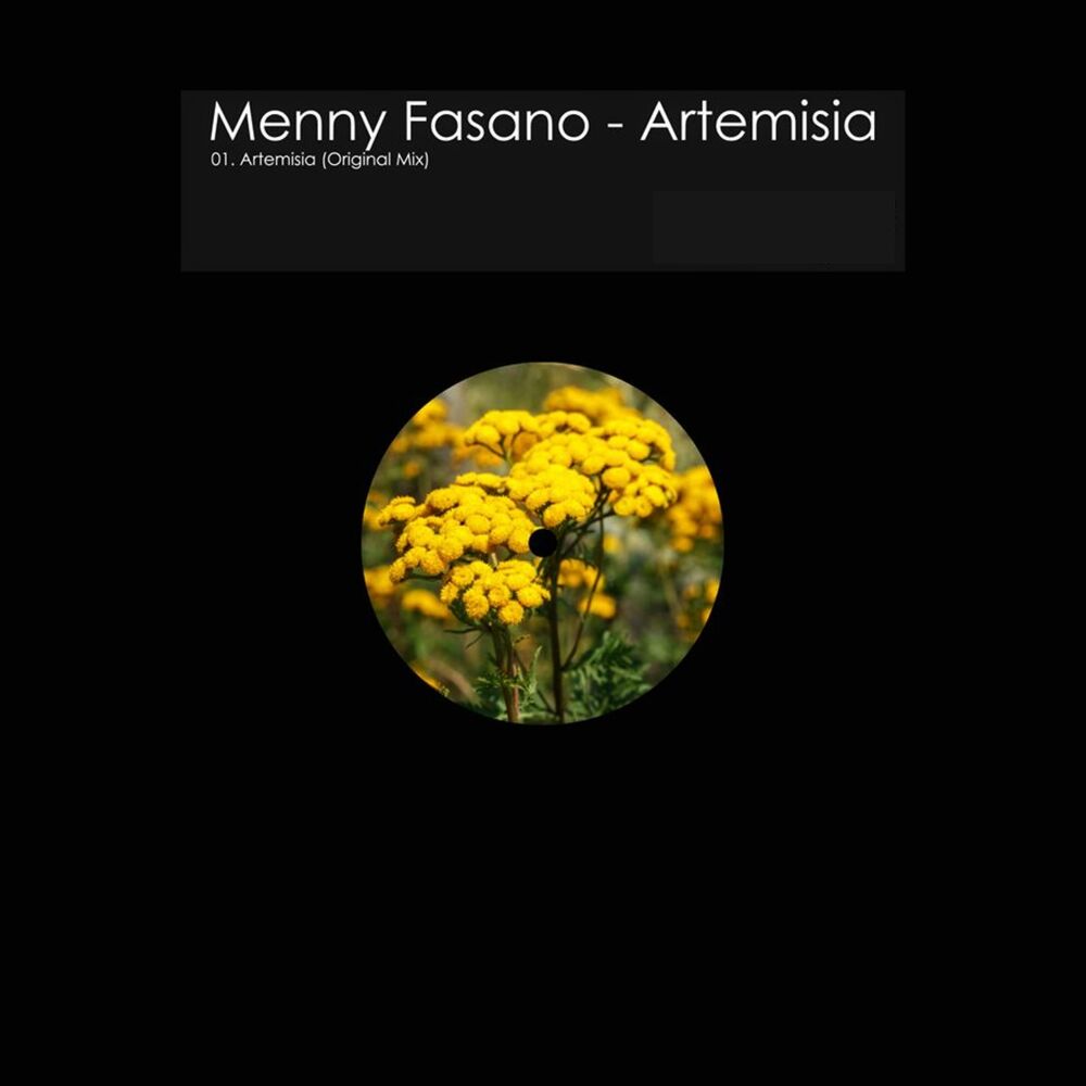 Picture of Artemisia