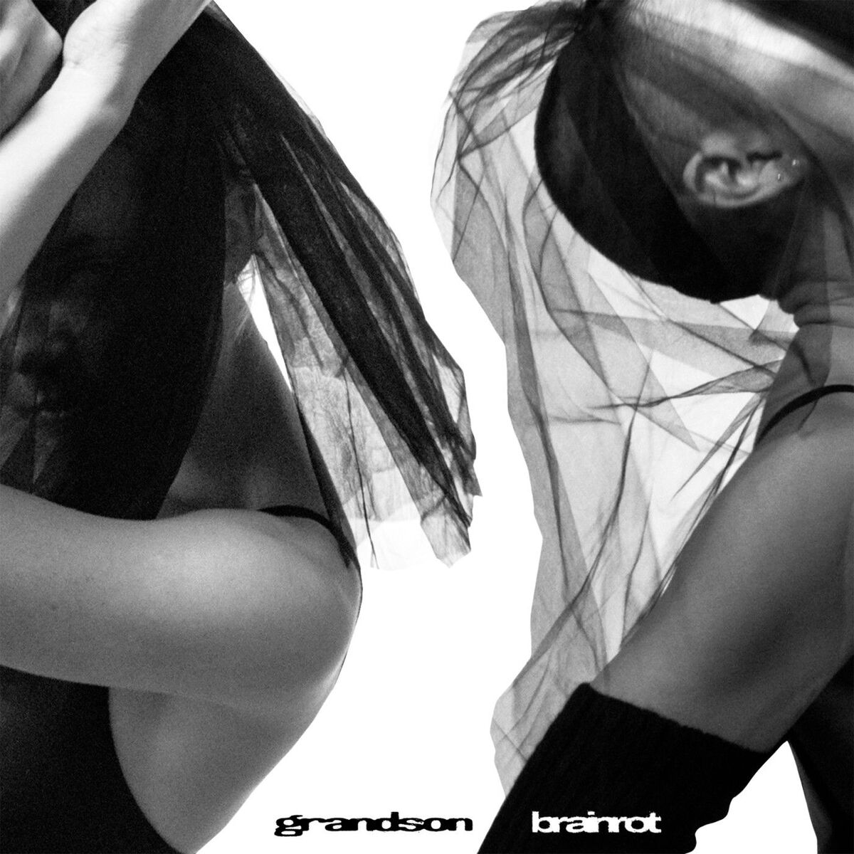 Album cover of BRAINROT