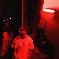 Cover of NEGLIGENT