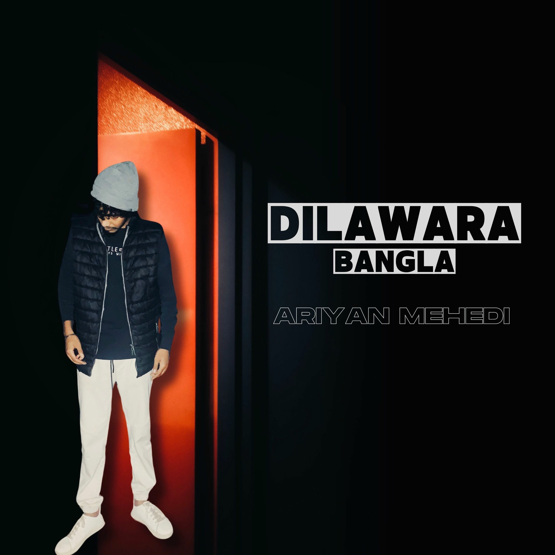Album cover of Dilawara Bangla