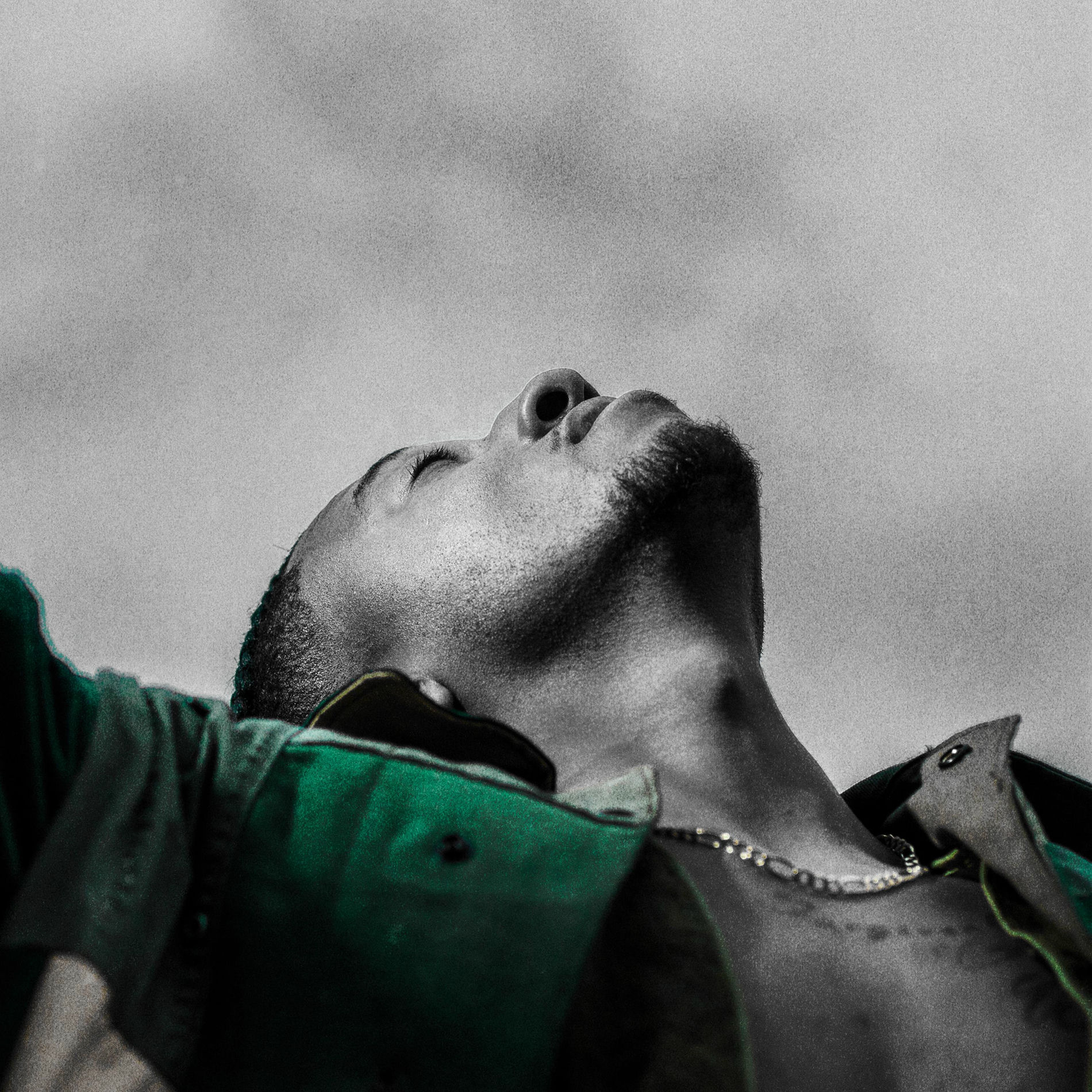 Album cover of Restoration
