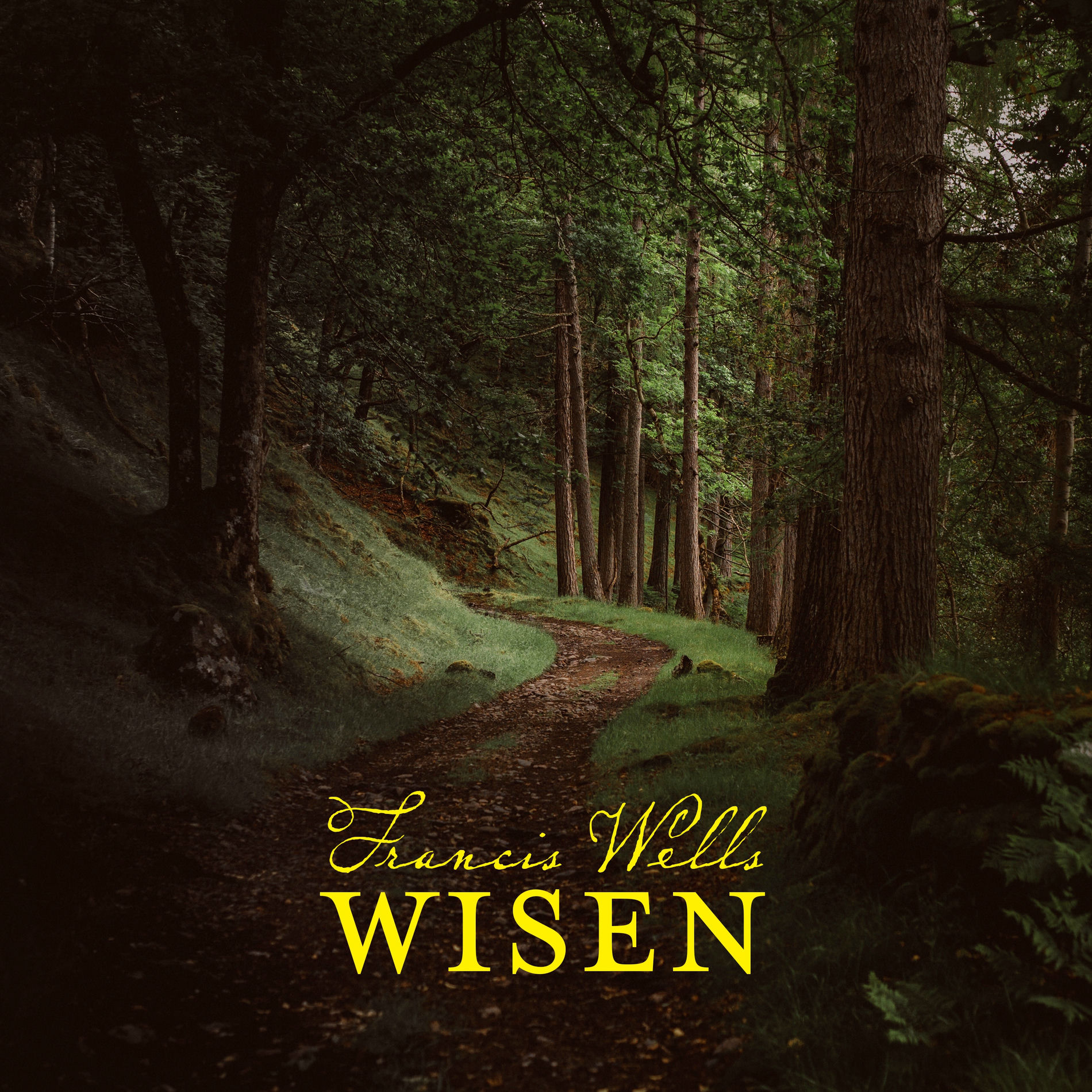 Album cover of Wisen