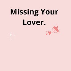 Cover of Missing Your Lover