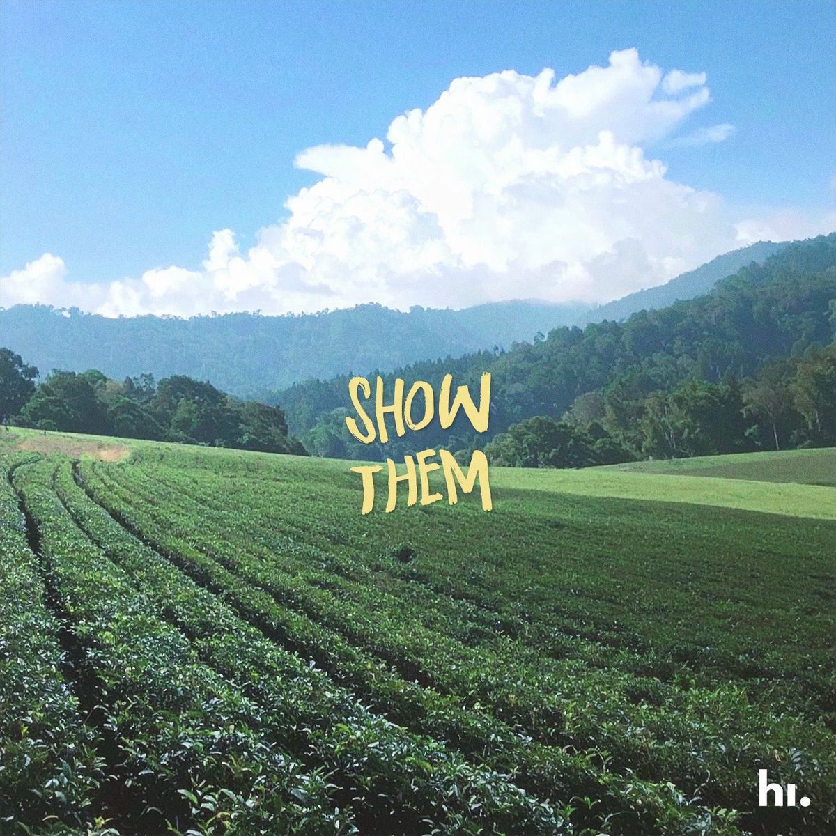 Album cover of Show Them