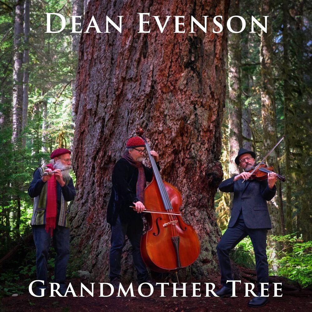 Picture of Grandmother Tree