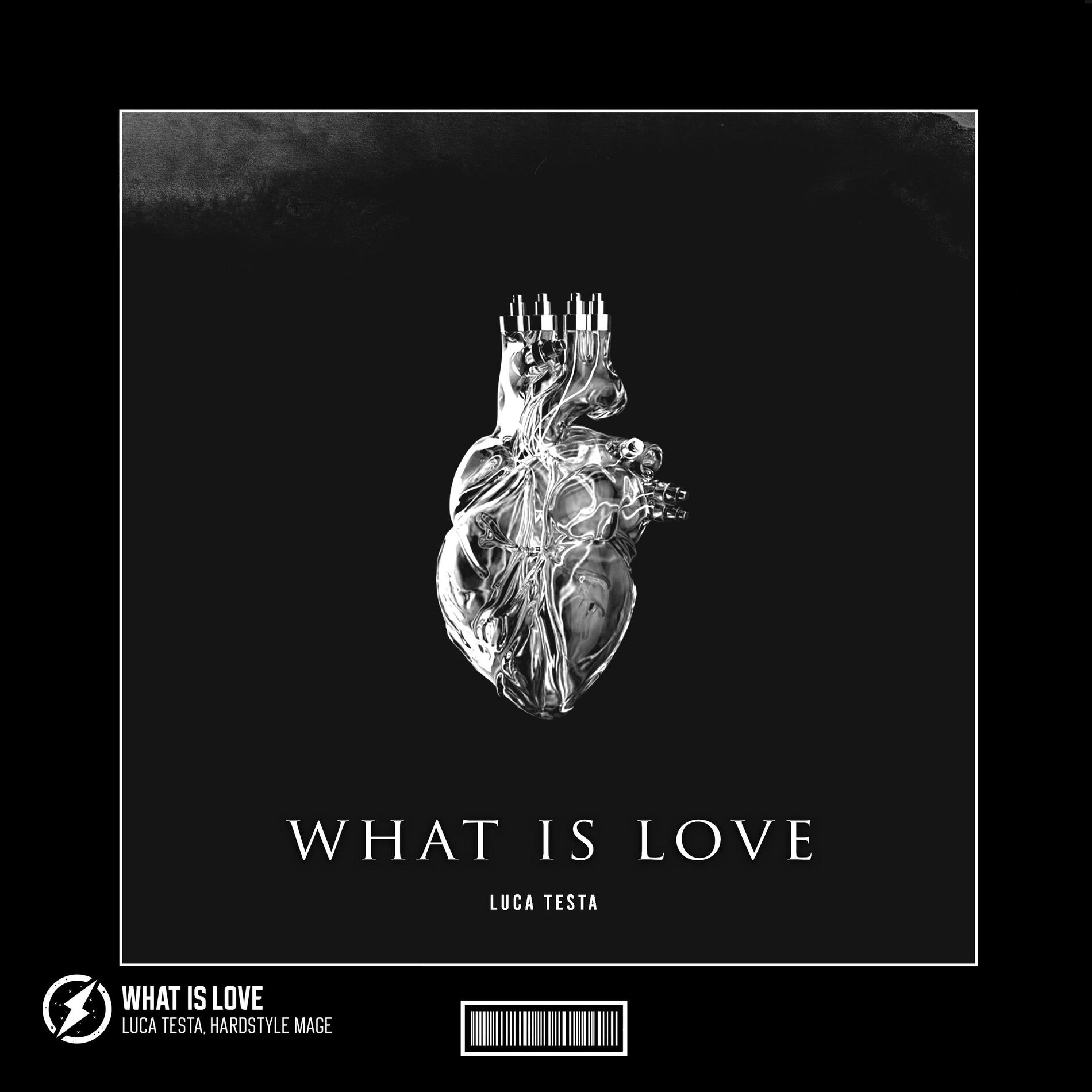 Album cover of What Is Love