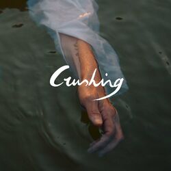 Cover of Crushing