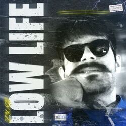 Cover of LOW LIFE