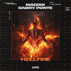 Cover of Hellfire