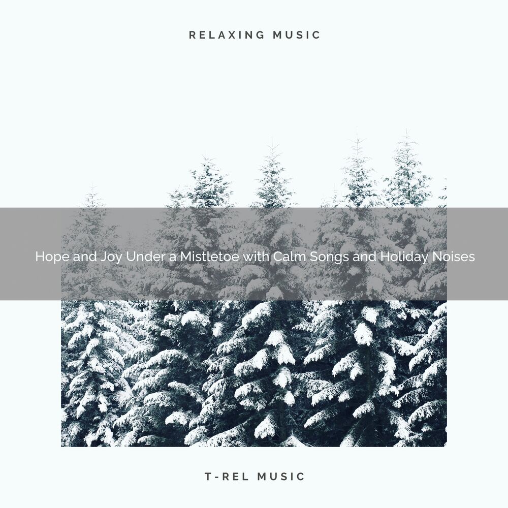 Picture of Hope and Joy Under a Mistletoe with Calm Songs and Holiday Noises