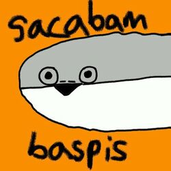Cover of Sacabambapis
