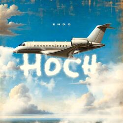 Cover of Hoch