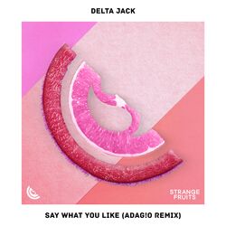 Cover of Say What You Like (ADAG!O Remix)