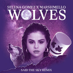 Cover of Wolves (Said The Sky Remix)