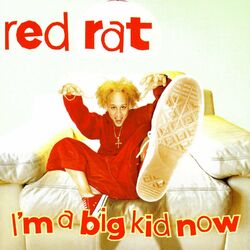Cover of I'm A Big Kid Now