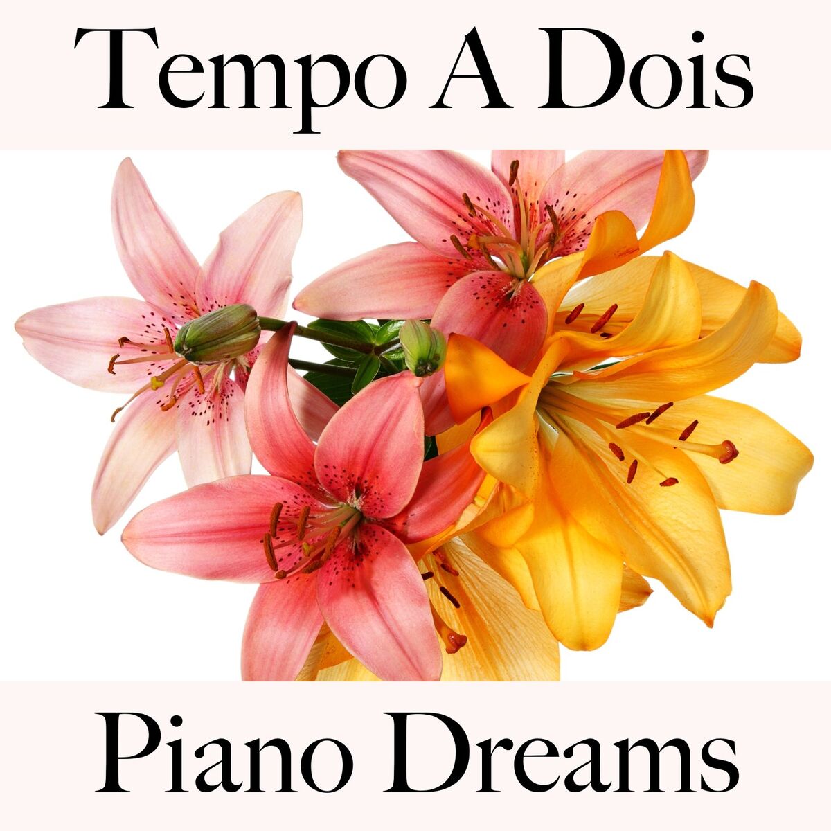 Album cover of Tempo A Dois: Piano Dreams - A Melhor Música Para Momentos Sensuais A Dois