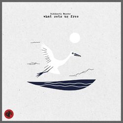Cover of What Sets Us Free