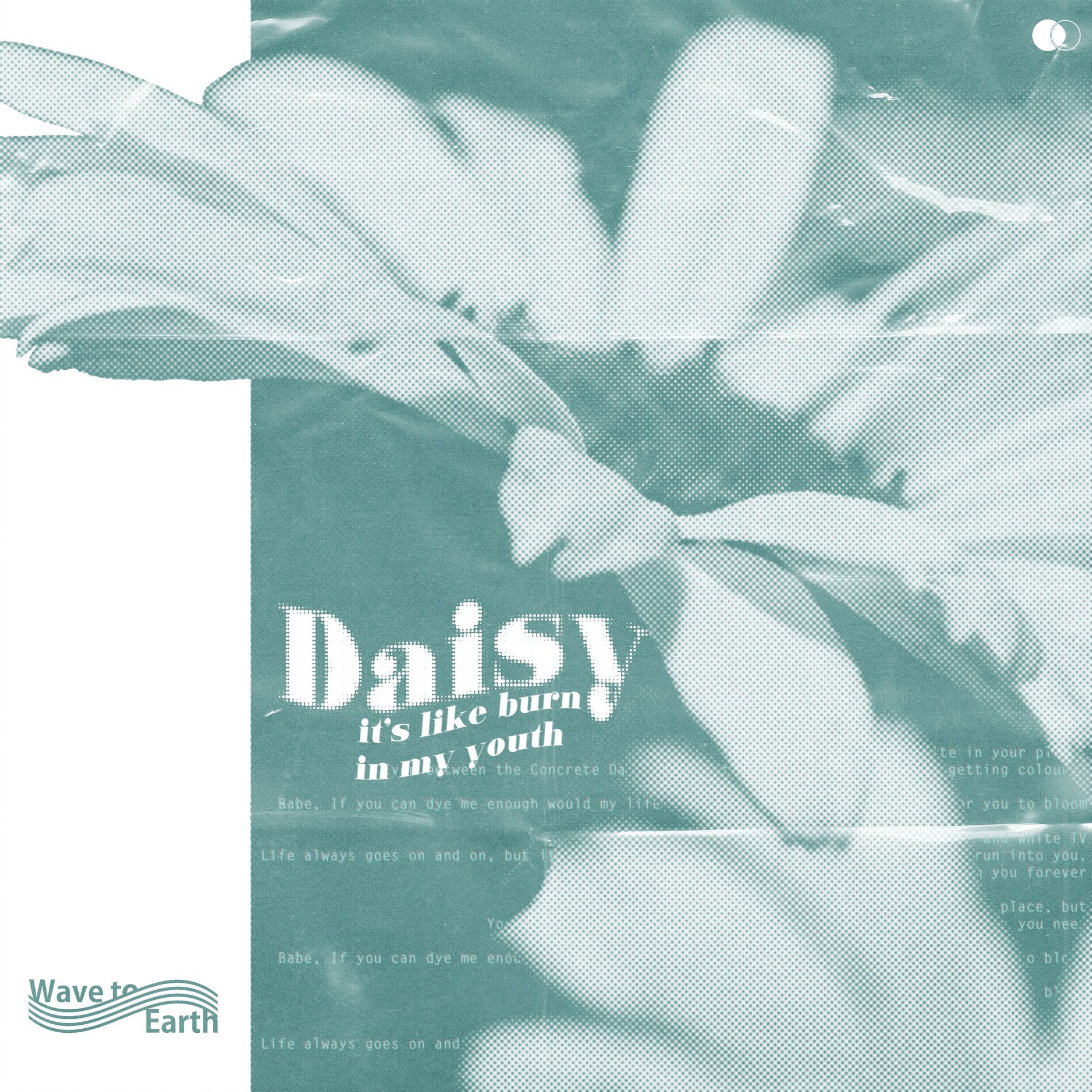 Album cover of daisy.