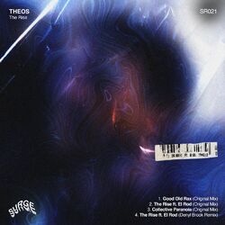 Cover of The Rise