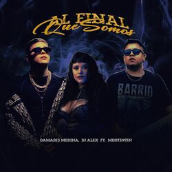 Cover of AL FINAL QUÉ SOMOS