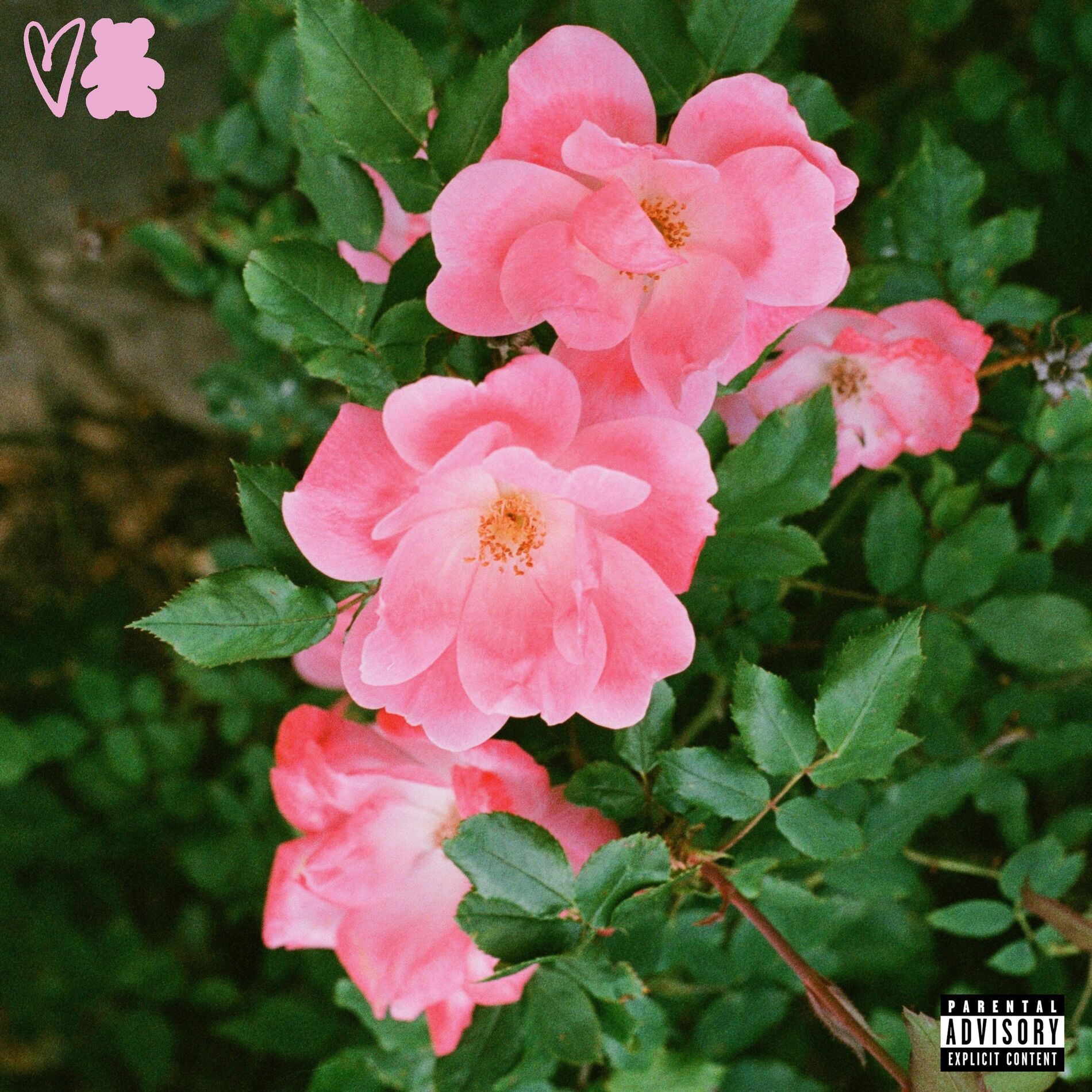 Album cover of PYT