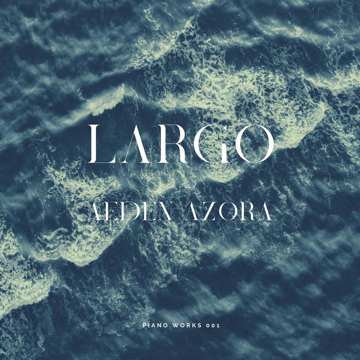 Album cover of LARGO