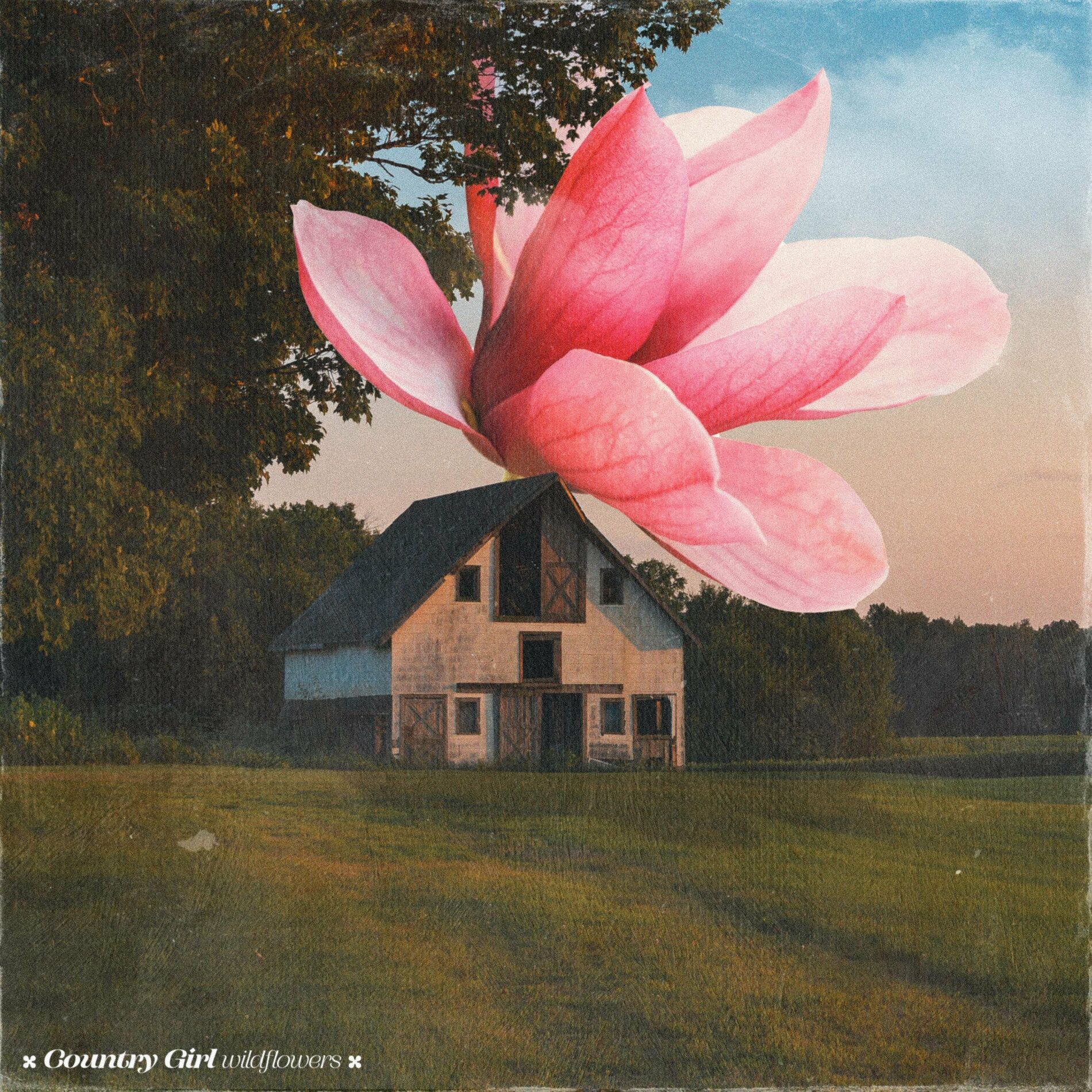 Album cover of Country Girl