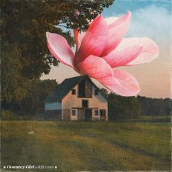 Cover of Country Girl