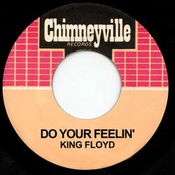 Cover of Do Your Feelin'