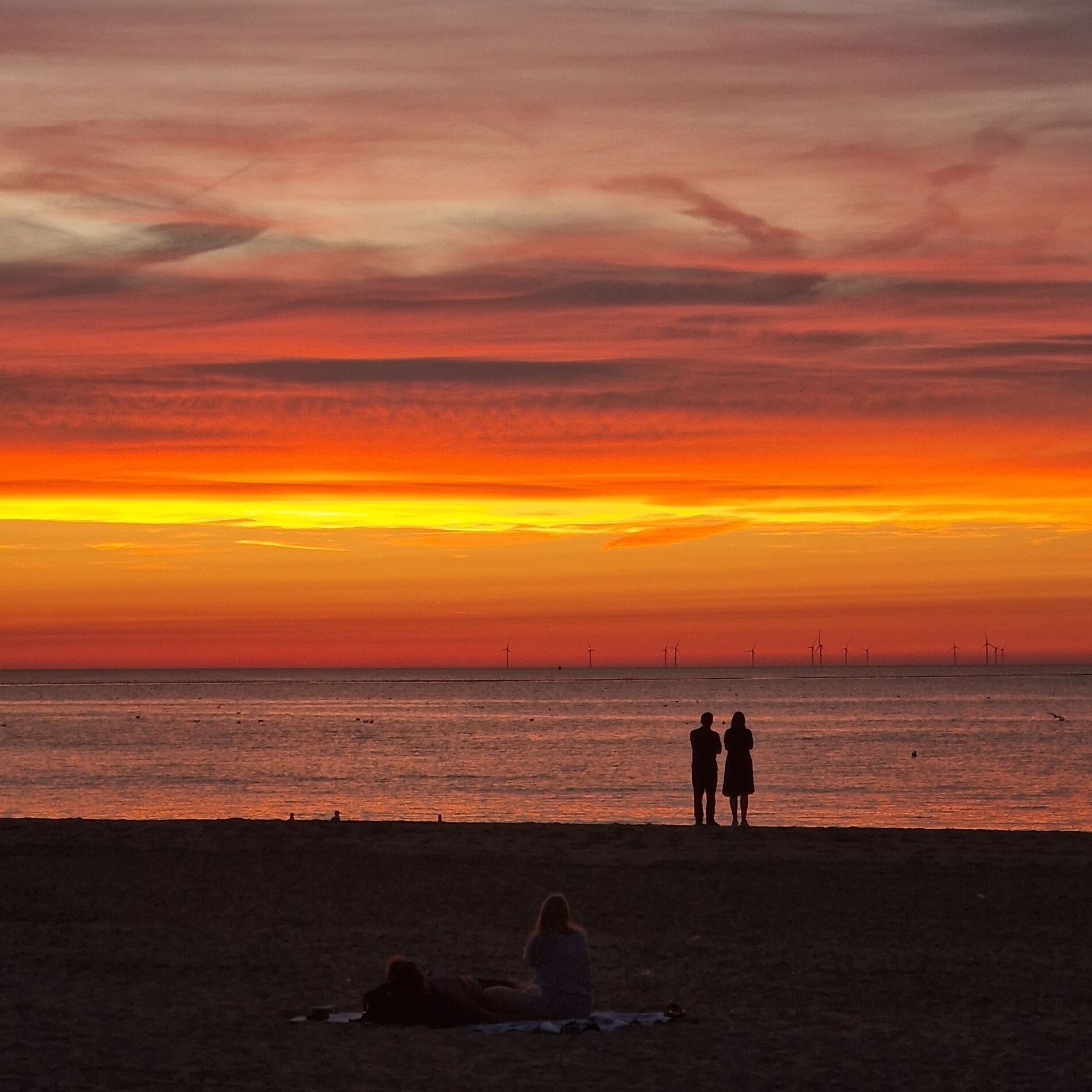 Album cover of Scheveningen - Zee en Wind (Radio Edit)