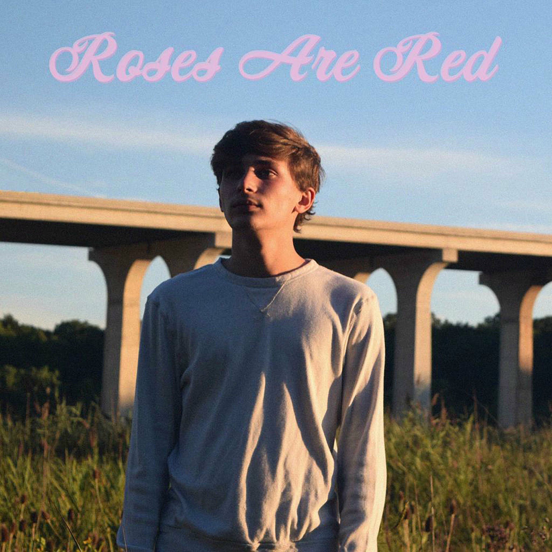 Album cover of Roses Are Red (Violets Are Blue)