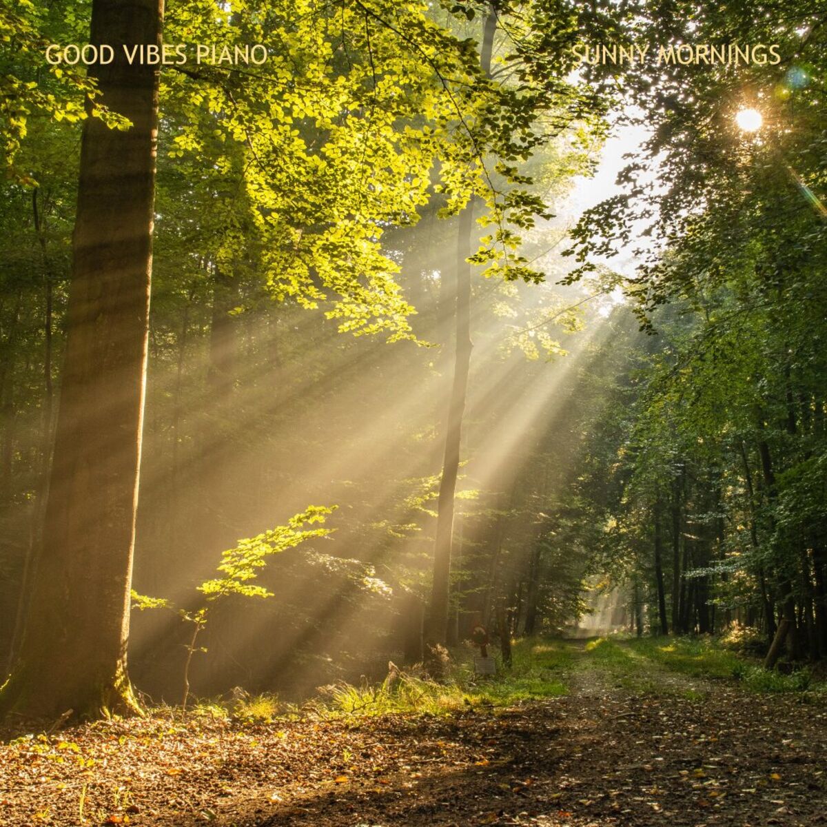 Album cover of Sunny Mornings (Radio Edit)