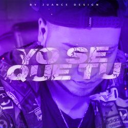 Cover of Yo Se Que Tu