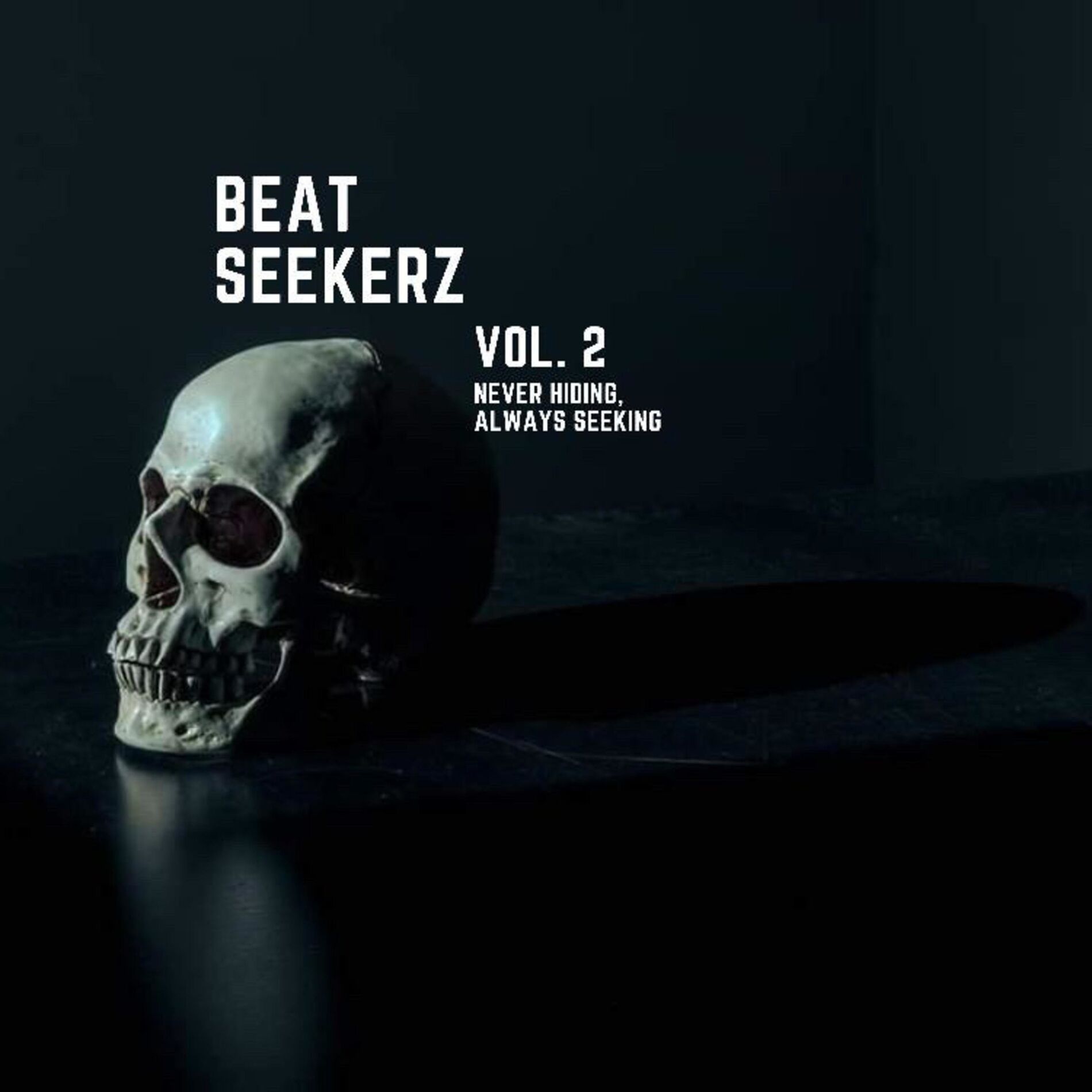 Album cover of Beat Seekerz, Vol. 2 (Never Hiding, Always Seeking)