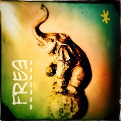 Cover of Free
