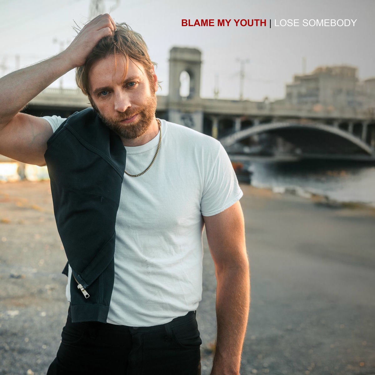 Album cover of Lose Somebody