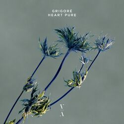 Cover of Heart Pure