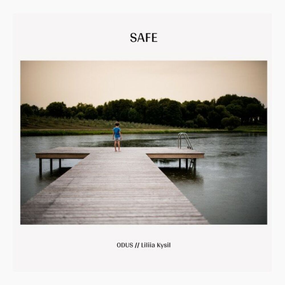 Picture of Safe
