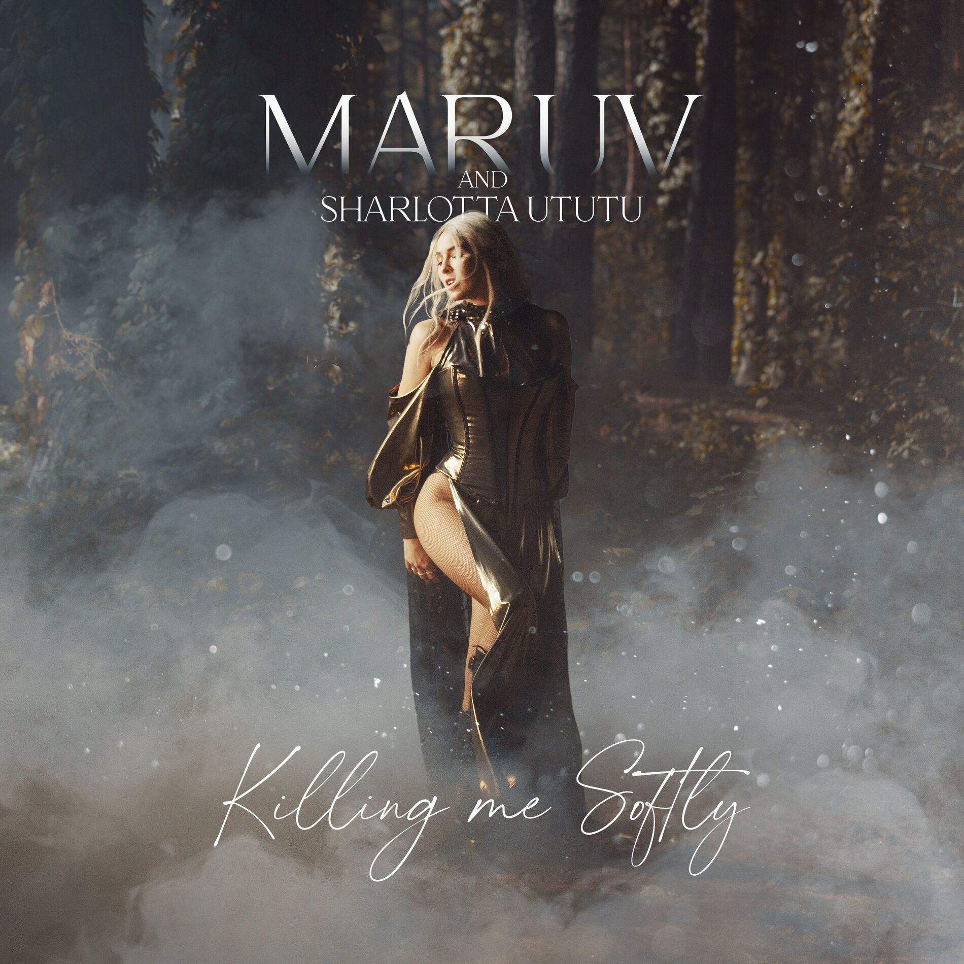 Album cover of Killing Me Softly