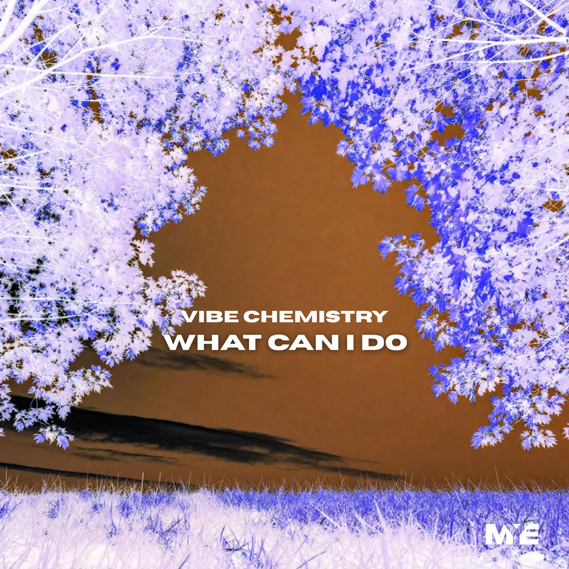 Album cover of What Can I Do